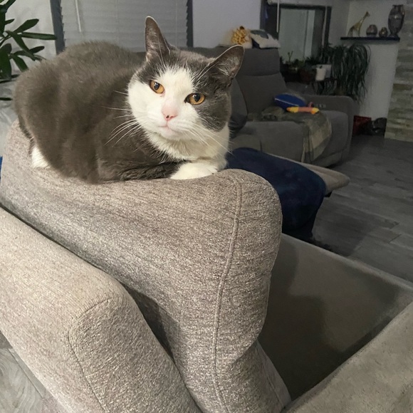 Meet your Posher, Janice - Picture 11 of 14